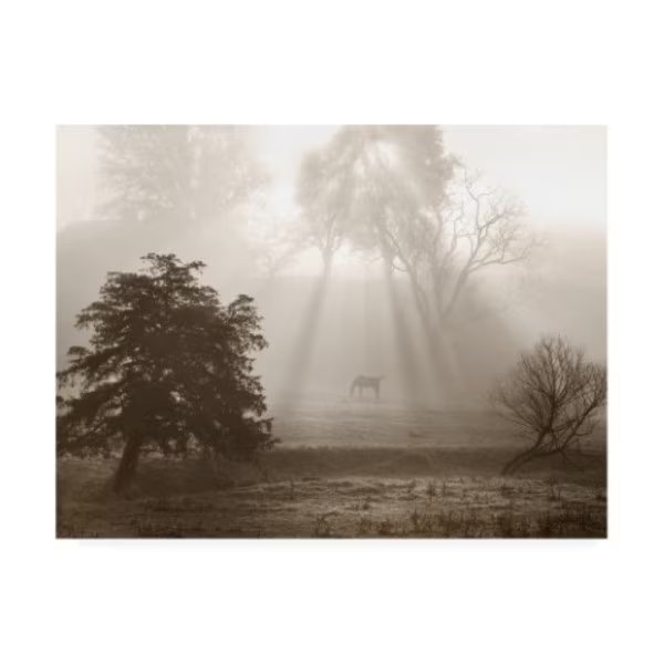 Monte Nagler 'Sunbeams And Shadows Jacksboro Tennessee' Canvas Art, 18x24, Trademark Fine Art, Mfr#: ALI44731-C1824GG